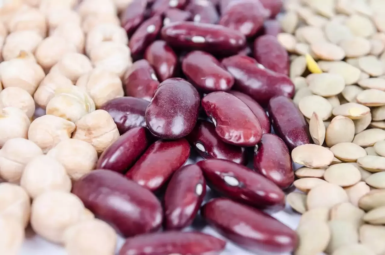 Bonen zijn een goede bron van superfood